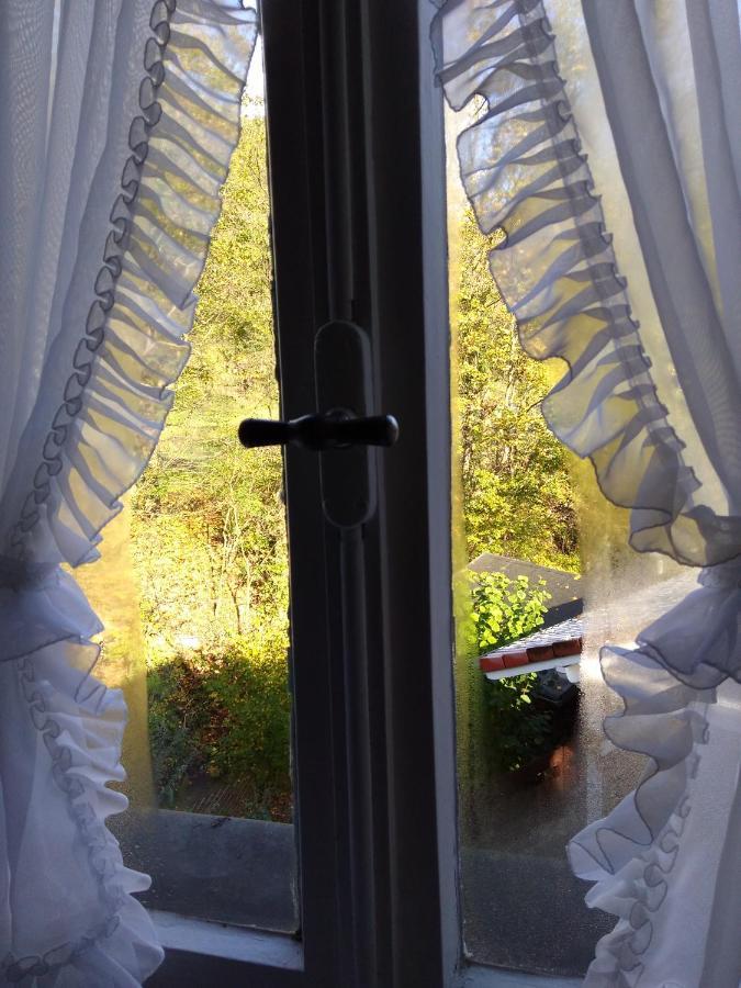 Schmoekermuehle Bed & Breakfast Andernach Ngoại thất bức ảnh